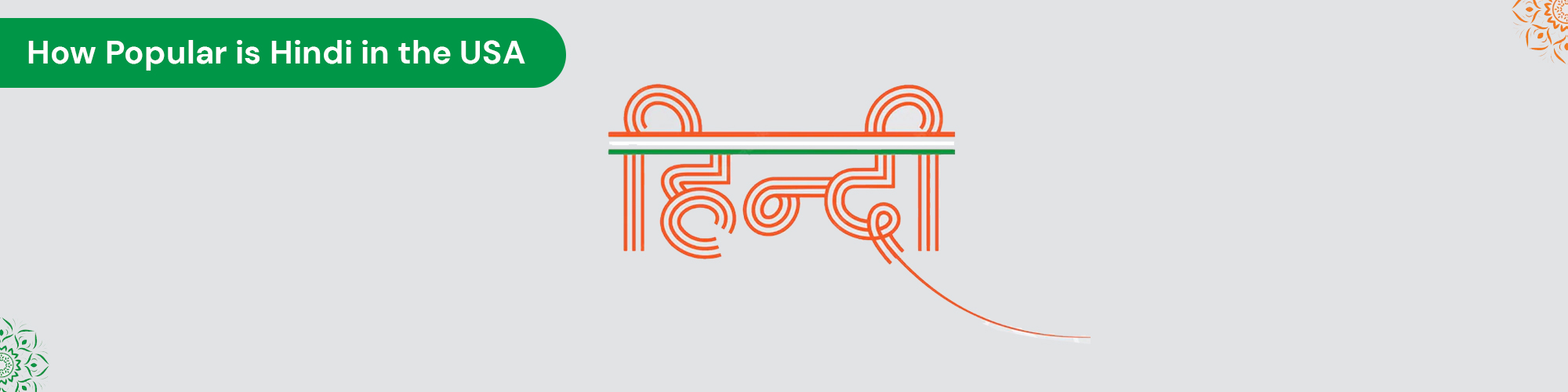 How Popular is Hindi in the USA