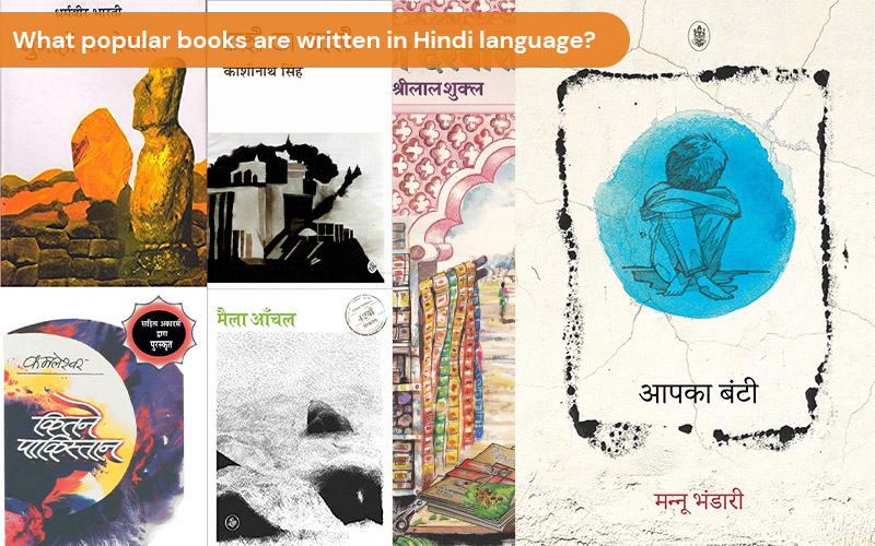 What popular books are written in Hindi language?