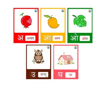 Flashcards